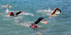 Beitragsbild des Blogbeitrags Swim & Run am Fuschlsee