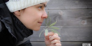 Beitragsbild des Blogbeitrags Ernährungstipps für Allergiker 