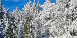 Beitragsbild des Blogbeitrags ULTRA WINTER TRIATHLON TRI24 – eine Weltneuheit im Ultrasport