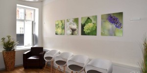 Beitragsbild des Blogbeitrags Warum Feng-Shui für eine Arztpraxis? 