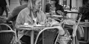 Beitragsbild des Blogbeitrags Tierliebe 