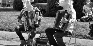 Beitragsbild des Blogbeitrags tierische Musik