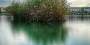 Beitragsbild des Blogbeitrags am See… 