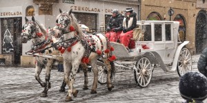 Beitragsbild des Blogbeitrags Pferdekutsche in Krakau 