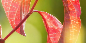 Beitragsbild des Blogbeitrags bevor es kalt geworden ist