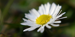 Beitragsbild des Blogbeitrags Es wird warm – raus, raus, raus…!
