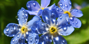 Beitragsbild des Blogbeitrags Frische