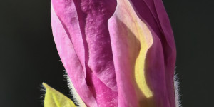 Beitragsbild des Blogbeitrags Mein Tamron und ich
