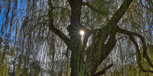 Beitragsbild des Blogbeitrags Oh yes….!