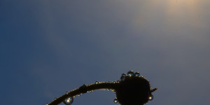 Beitragsbild des Blogbeitrags Frühling – give it to me…!