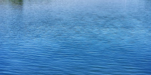 Beitragsbild des Blogbeitrags Und sie ist doch blau