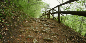 Beitragsbild des Blogbeitrags Der steinige Weg…