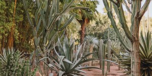 Beitragsbild des Blogbeitrags Jardin Majorelle Rue Yves Saint Laurent 