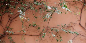 Beitragsbild des Blogbeitrags Royal Mansour Marrakesh