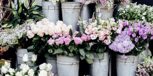 Beitragsbild des Blogbeitrags Wild at heart