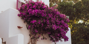 Beitragsbild des Blogbeitrags Visit Leros island