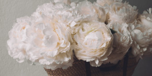 Beitragsbild des Blogbeitrags Vienna Photography Workshops