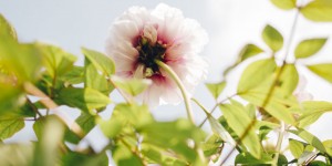 Beitragsbild des Blogbeitrags Best time of the year
