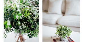 Beitragsbild des Blogbeitrags Skiathos and Skopelos