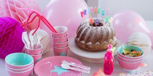 Beitragsbild des Blogbeitrags Feiern mit Partyboxen von Fräulein Anna