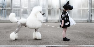 Beitragsbild des Blogbeitrags Caroline Bosmans SS 16