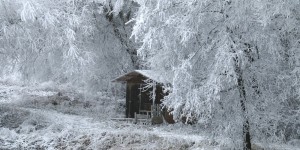 Beitragsbild des Blogbeitrags Freiheitsrückblick – Advent 2016