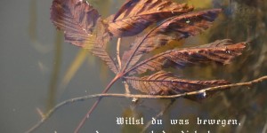 Beitragsbild des Blogbeitrags Transformation Körperlicher und Geistiger Ausgleich