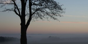 Beitragsbild des Blogbeitrags 5 Fragen führen dich zu mehr Freizeit 