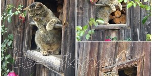 Beitragsbild des Blogbeitrags Freiheitsrückblick – August 2016