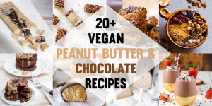 Beitragsbild des Blogbeitrags 20+ Vegan Peanut Butter and Chocolate Recipes