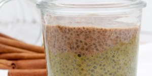 Beitragsbild des Blogbeitrags Vegan Matcha Cinnamon Chia Pudding 