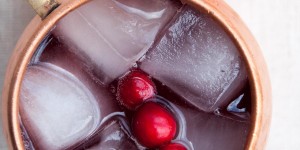 Beitragsbild des Blogbeitrags Cranberry Moscow Mule