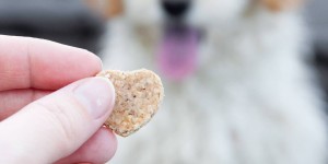 Beitragsbild des Blogbeitrags Peanut Butter Dog Treats