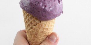 Beitragsbild des Blogbeitrags 2-Ingredient Vegan Blueberry Ice Cream 