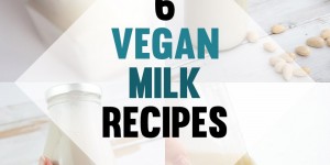 Beitragsbild des Blogbeitrags 6 Vegan Milk Recipes