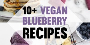 Beitragsbild des Blogbeitrags 10+ Vegan Blueberry Recipes 