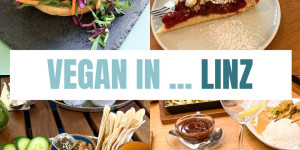 Beitragsbild des Blogbeitrags Vegan in Linz, Austria