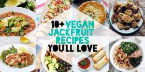 Beitragsbild des Blogbeitrags 10+ Vegan Jackfruit Recipes Youll Love! 