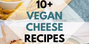 Beitragsbild des Blogbeitrags 10+ Vegan Cheese Recipes 