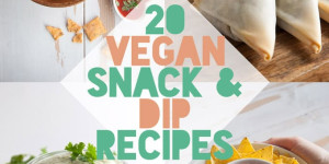 Beitragsbild des Blogbeitrags 20+ Vegan Snack and Dip Recipes for Parties! 