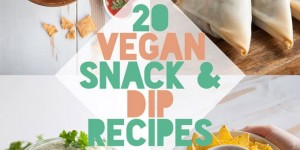 Beitragsbild des Blogbeitrags Healthy snacking made easy – 20 Vegan Snack and Dip Recipes