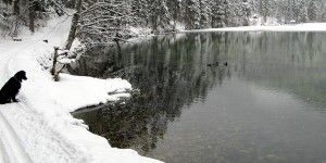 Beitragsbild des Blogbeitrags Walking the Polsterlucke Tour in Upperaustria 