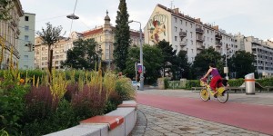 Beitragsbild des Blogbeitrags June 2018: Summer, a Greek park, the best avocado toast and more!