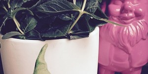 Beitragsbild des Blogbeitrags Rosarote Gartenzwerge. Zu Weihnachten auch Weihnachtszwerge?