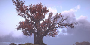 Beitragsbild des Blogbeitrags Vegetation in Videospielen inklusive Interview mit Ubisoft Environment Artist Adrien Paguet-Brunella