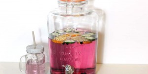 Beitragsbild des Blogbeitrags Infused Water