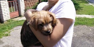 Beitragsbild des Blogbeitrags Jahrestag – ein Jahr als Hundeeltern