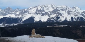 Beitragsbild des Blogbeitrags Der etwas andere Skiurlaub – Schladming
