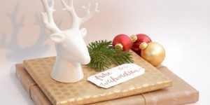 Beitragsbild des Blogbeitrags Frohe Weihnachten! 