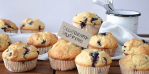 Beitragsbild des Blogbeitrags Blueberry Muffins – optional vegan